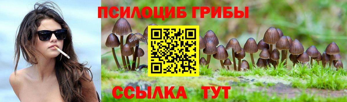 Галлюциногенные грибы Magic Shrooms  Вход с VPN  Пугачёв 